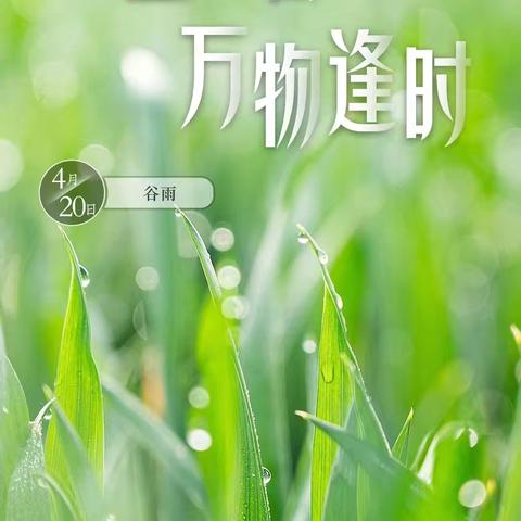 阳谷县嘉和城小学“笔墨先锋”在行动（十四）——小暑风长 盛夏初章