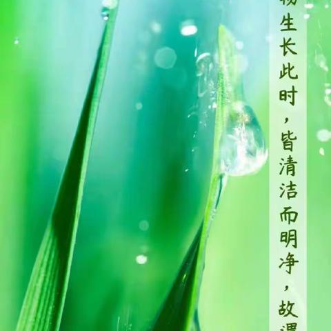 “清明祭英烈，丰碑砺青春”——二十七团中学二年级组清明时节话清明活动