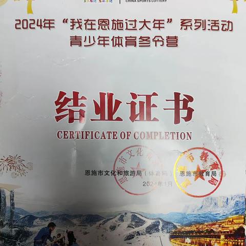 陈佳乐2023寒假总结