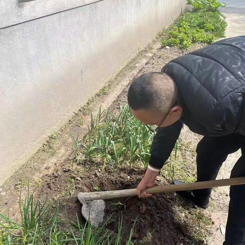 植树节---101风车中队  张沐涵