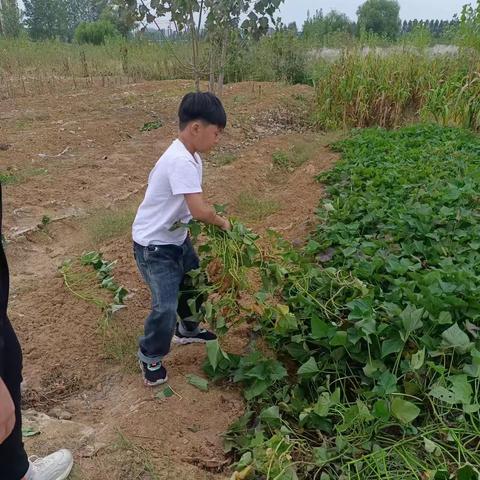 【国庆假日忙 开心伴成长】一小东关三.3班假期分享