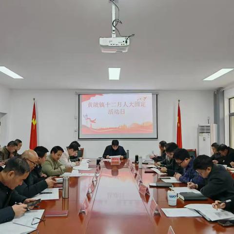 黄陂镇12月人大代表固定活动日