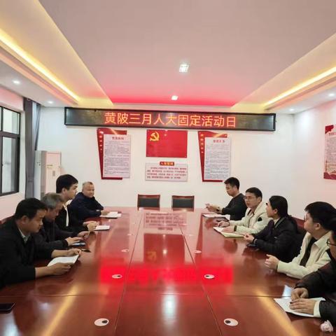 黄陂三月人大代表固定活动日