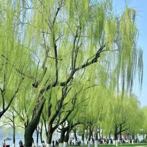 童禧幼儿园小班4月份主题活动——《你好呀，春天》