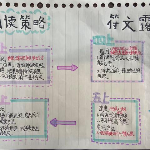 青年路小学项目式学习进行时——深化新时代教育实践 为大单元架构保驾护航