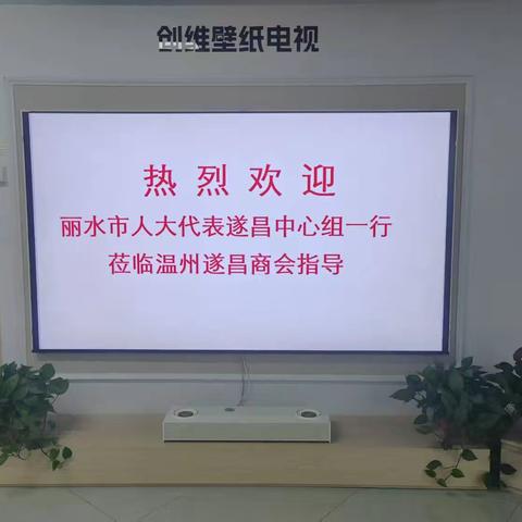丽水市人大代表遂昌中心组一行莅临温州遂昌商会交流学习考察指导