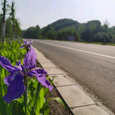 春季种植忙 不负好时光