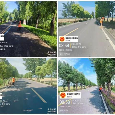 开展路域环境整治，提升农村公路路容路貌