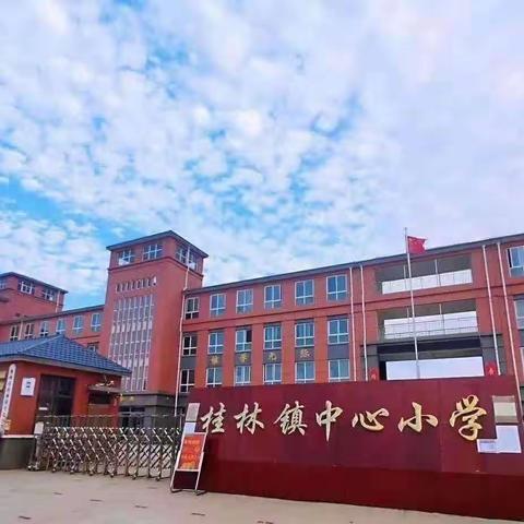 桂林镇桂林学区一周工作总结 （12月9—12月13日）