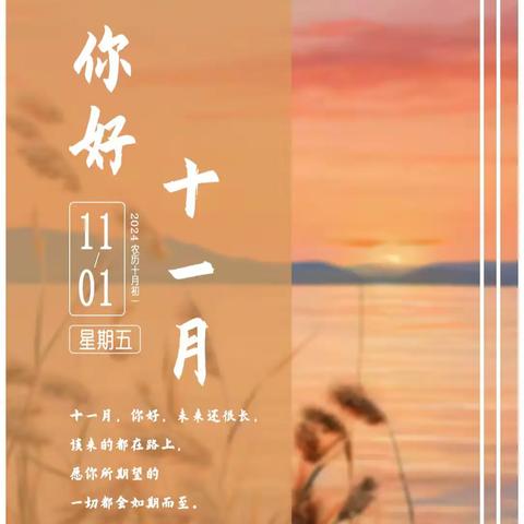 “每日一品”2024年11月份合集