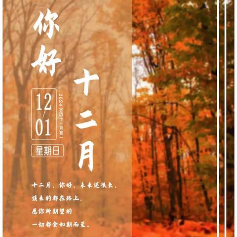 “每日一品”2024年12月份合集