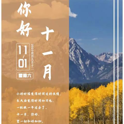 “每日一品”2025年11月份合集
