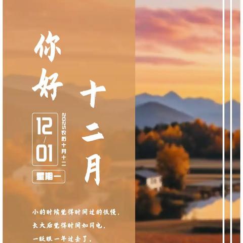 “每日一品”2025年12月份合集