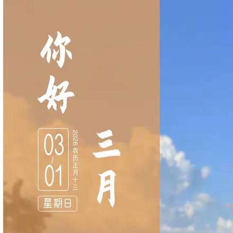 “每日一品”2026年3月份合集