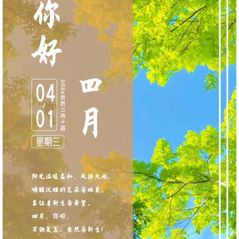 “每日一品”2026年4月份合集