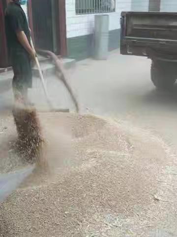 勤劳勇敢  丰收有我