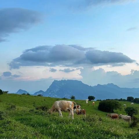 10号周三:郑州版阿勒泰，嵩顶高山草原摄影，溜腿，赏秋 拔高200米，全程6公里