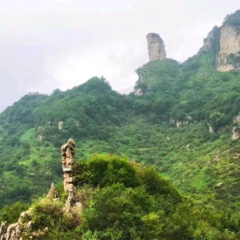 驴友毕业线路:王莽岭锡崖沟双岭路十字岭 选择最容易的线路:从锡崖沟双岭路牌子出发，途径双乳峰小石林窟窿山北雄关，十字岭，张沟梯，飞云桥。 不想爬山的可以在王莽岭或者锡崖沟玩