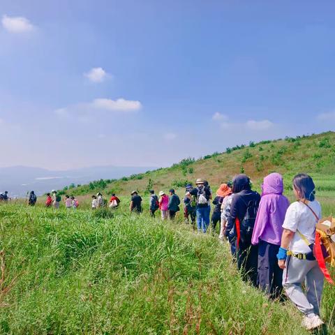 亲子游:27号周六:45元禹州灵泉寺、看两千年的古银杏树，逛凤凰山土匪寨、山顶大草原摄影、神垕古镇买瓷器