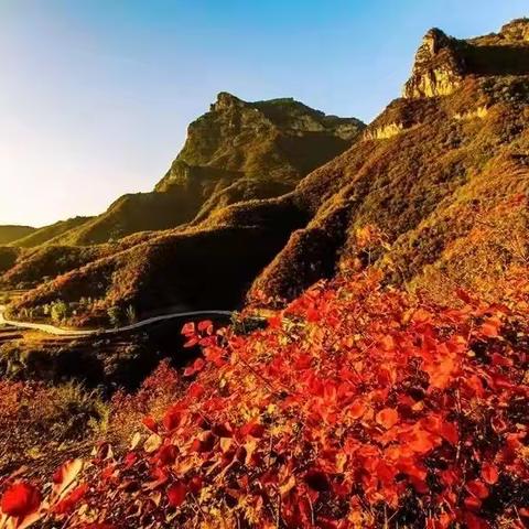 10月5日周三50元｜探秘道宝河古村｜石头王国｜石门瀑布螺旋公路｜看红叶，买小米