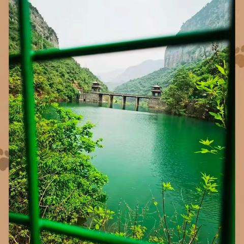 野线巩义达西沟｜小挂壁｜后寺河水库｜小蛇谷｜黄牛寨，找八月扎，摘猕猴桃（种植的）