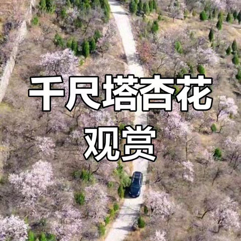 宝妈团｜大周山登山｜赏秋｜摘柿子
