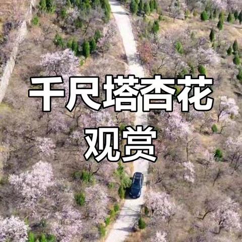 宝妈团｜大周山登山｜赏秋｜摘柿子｜手工馍大锅菜
