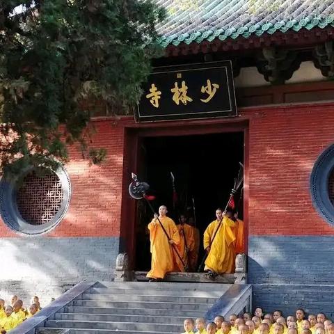 野线柏峪村穿越｜少林寺红叶节｜五花坪醉美红叶区赏红叶｜塔林｜武术表演