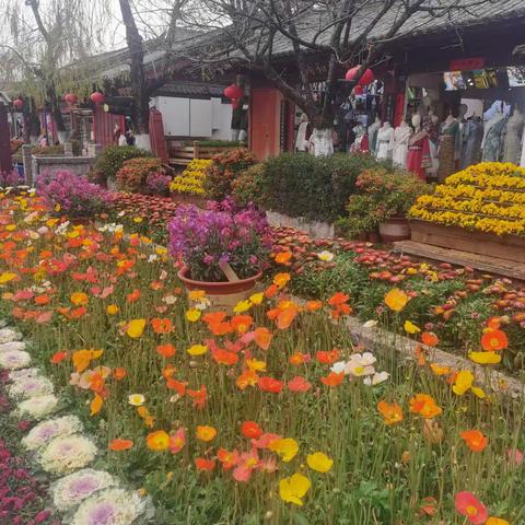 和风煦日百花香，鼓声芦笙曲悠扬，亭台小桥玉阁楼，溪水潺潺游丽江