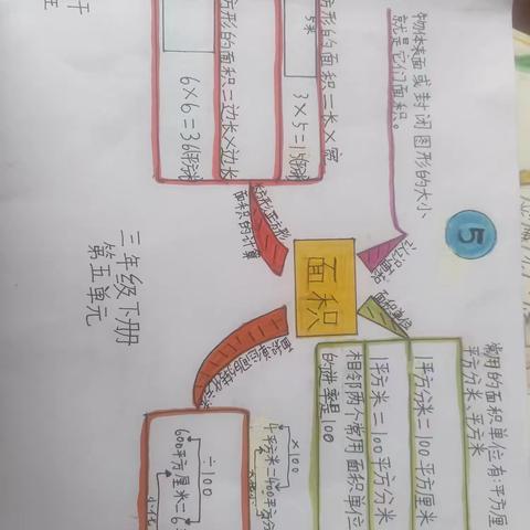 酿溪二小2201班综合实践作业展示(十五)