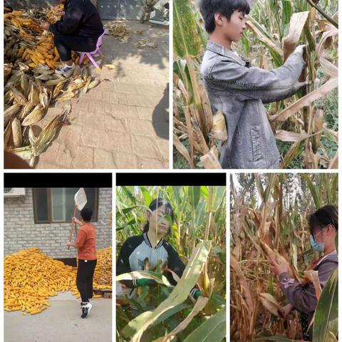 夯实劳动观 献礼新时代