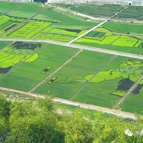 【崇州风光】我把思念留给整个秋天