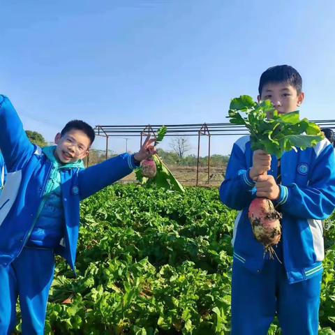 既能“扛枪”，又能“种菜”！