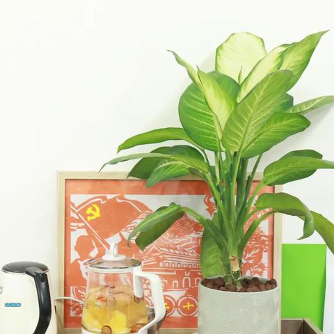 喜提“最美”！