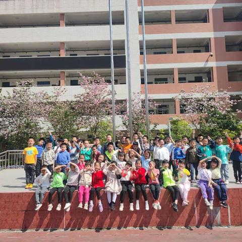 【前茅家书，温暖你我】向阳而生，做最好的自己