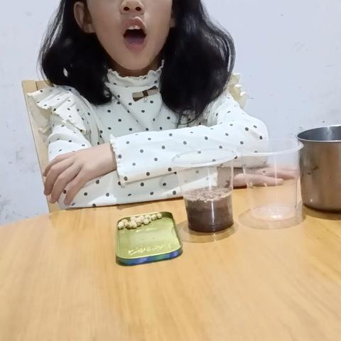 科学小实验四《种子发芽》