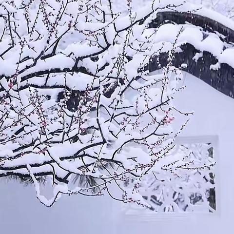 课堂与雪的美丽邂逅 —蓟州区实验小学4.3班作品