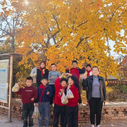 金秋拾趣 落叶成画：一场自然与艺术的对话