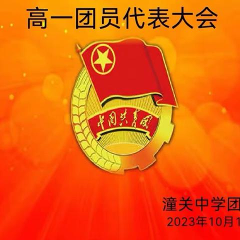 传承初心，绽放青春—— 潼关中学团委召开高一年级团员代表大会