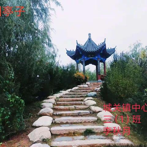 树树皆秋色   山河唯落韵