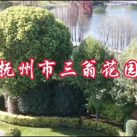 秀走家乡美景——抚州市旗袍文化协会第二次户外活动