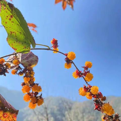 里仁宜居物业中山街项目草塘寺小区服务周报