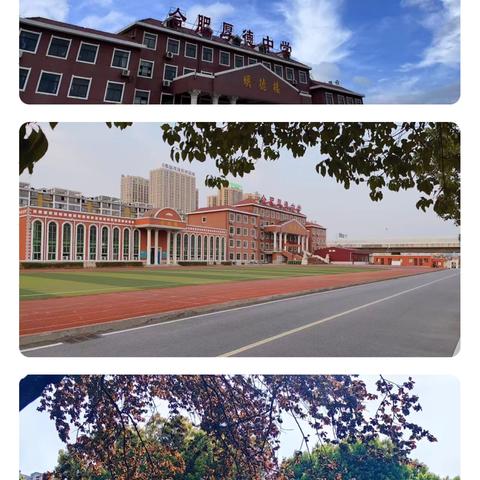 汗水浇筑梦想·拼搏决胜“体”验