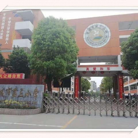 只争朝夕育桃李，不负韶华立常规——丰城市杨柳湖小学教学常规检查工作纪实