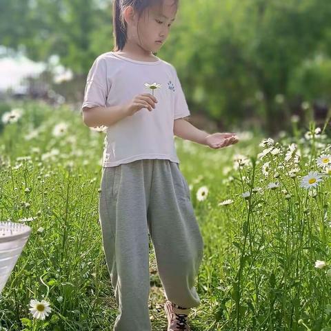 博兴乐安实验学校美言美行好少年--自理自立好少年