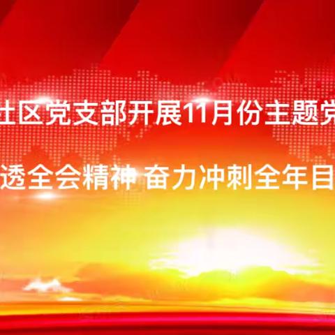 长延堡街道长丰园社区党支部组织开展11月份主题党日活动