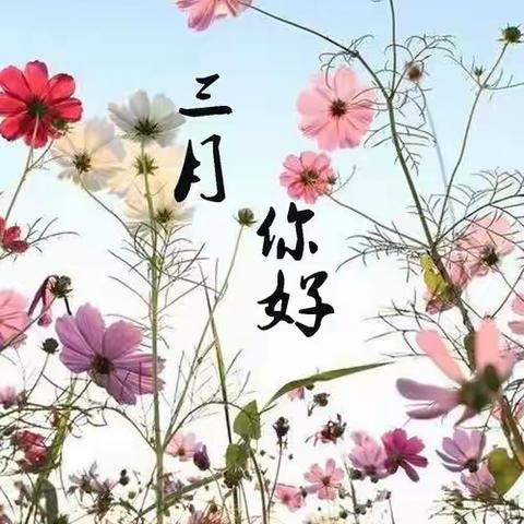 等风来……不如追风去🍃