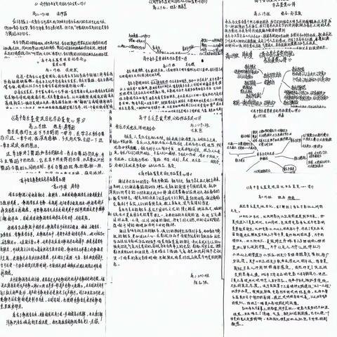 学生项目化作品鉴赏心得