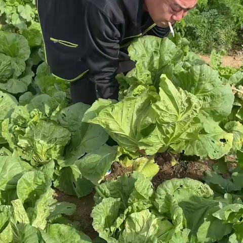 不负时光  “食”刻相伴