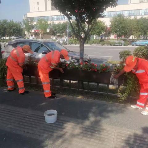 坚持规范常态化保洁，持续提升环境整洁度